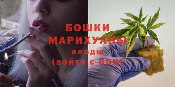 МДПВ Кадников