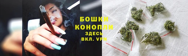 бошки Бердск
