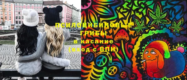 прущая мука Медногорск